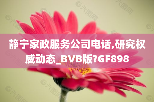 静宁家政服务公司电话,研究权威动态_BVB版?GF898