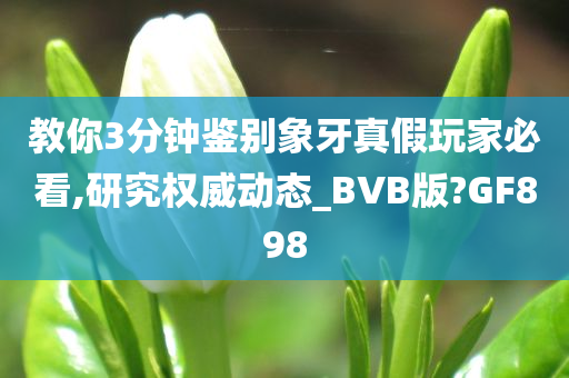 教你3分钟鉴别象牙真假玩家必看,研究权威动态_BVB版?GF898