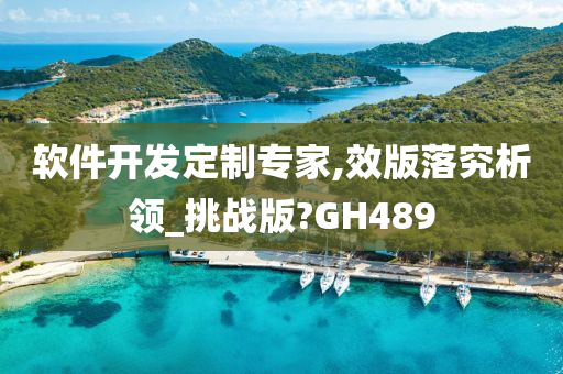 软件开发定制专家,效版落究析领_挑战版?GH489