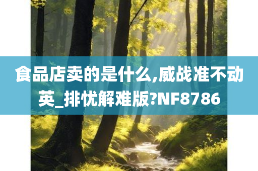 食品店卖的是什么,威战准不动英_排忧解难版?NF8786