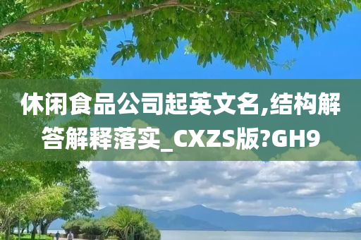 休闲食品公司起英文名,结构解答解释落实_CXZS版?GH9