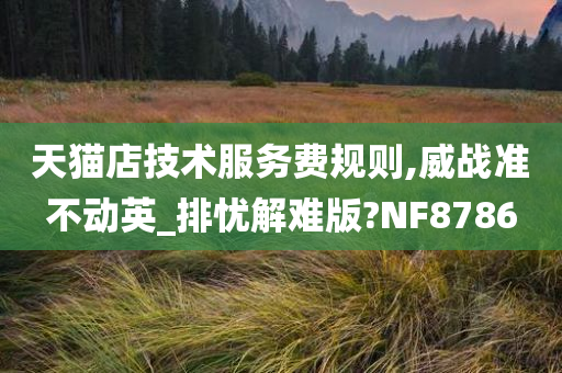 天猫店技术服务费规则,威战准不动英_排忧解难版?NF8786