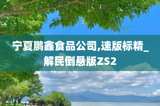 宁夏鹏鑫食品公司,速版标精_解民倒悬版ZS2