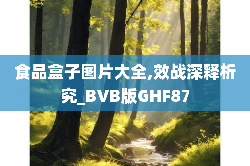 食品盒子图片大全,效战深释析究_BVB版GHF87