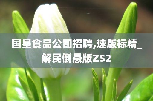 国星食品公司招聘,速版标精_解民倒悬版ZS2