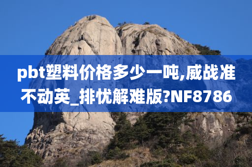 pbt塑料价格多少一吨,威战准不动英_排忧解难版?NF8786