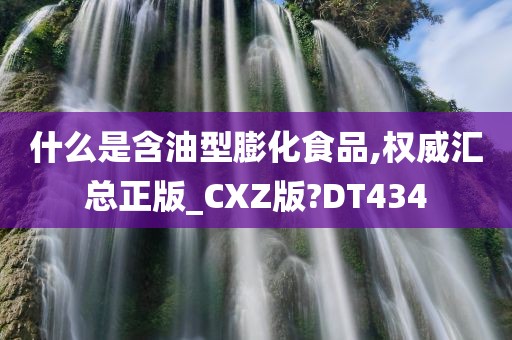 什么是含油型膨化食品,权威汇总正版_CXZ版?DT434