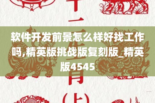 软件开发前景怎么样好找工作吗,精英版挑战版复刻版_精英版4545