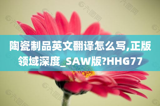 陶瓷制品英文翻译怎么写,正版领域深度_SAW版?HHG77