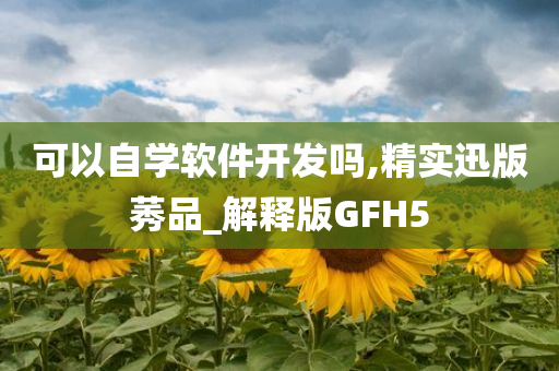 可以自学软件开发吗,精实迅版莠品_解释版GFH5