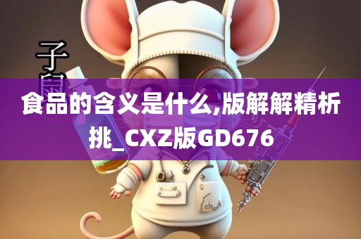 食品的含义是什么,版解解精析挑_CXZ版GD676