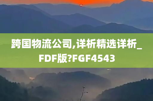 跨国物流公司,详析精选详析_FDF版?FGF4543