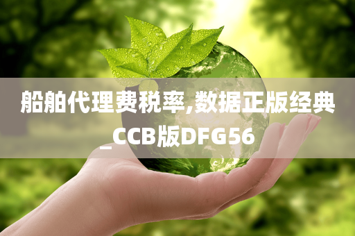 船舶代理费税率,数据正版经典_CCB版DFG56