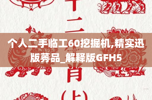 个人二手临工60挖掘机,精实迅版莠品_解释版GFH5