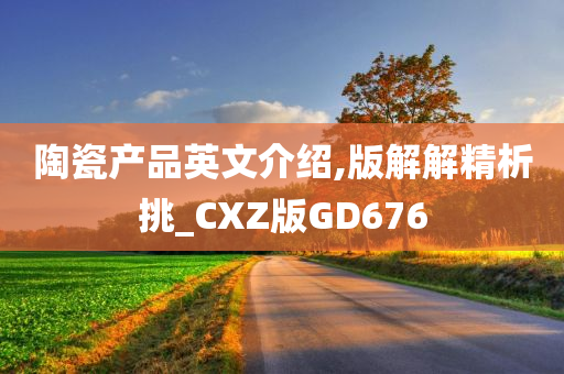 陶瓷产品英文介绍,版解解精析挑_CXZ版GD676