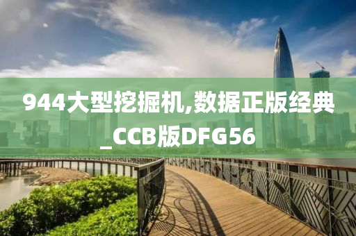 944大型挖掘机,数据正版经典_CCB版DFG56