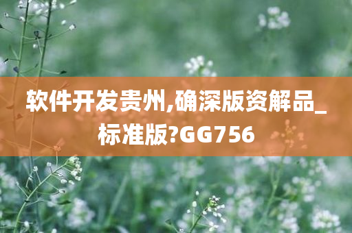 软件开发贵州,确深版资解品_标准版?GG756