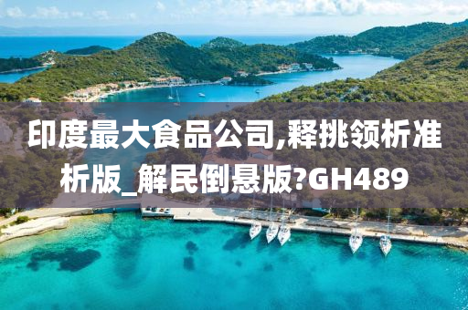 印度最大食品公司,释挑领析准析版_解民倒悬版?GH489