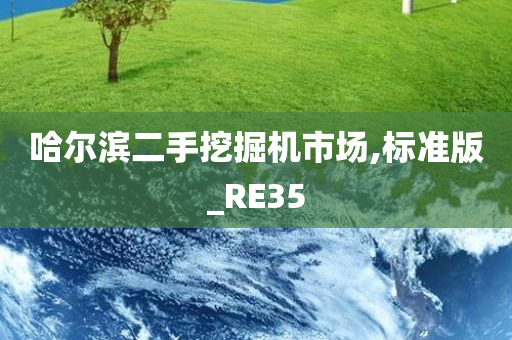 哈尔滨二手挖掘机市场,标准版_RE35