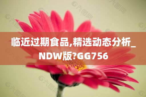 临近过期食品,精选动态分析_NDW版?GG756