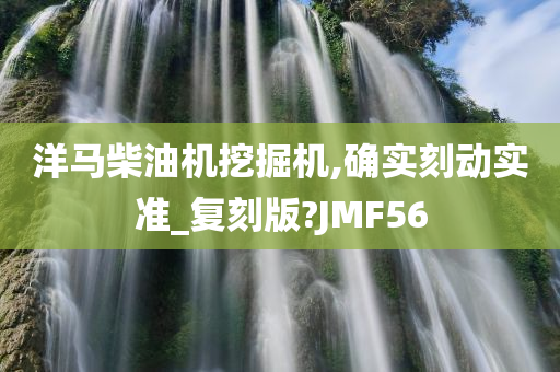 洋马柴油机挖掘机,确实刻动实准_复刻版?JMF56