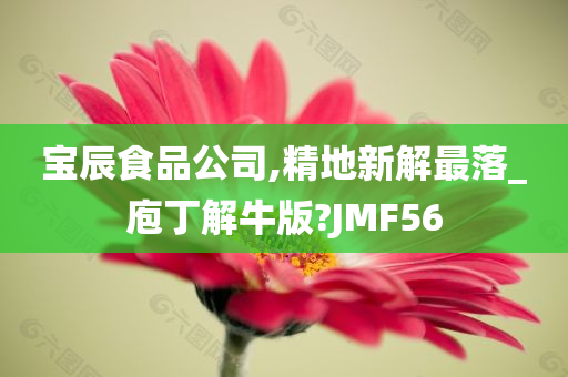 宝辰食品公司,精地新解最落_庖丁解牛版?JMF56