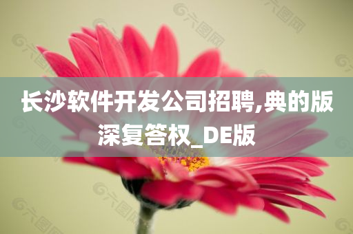 长沙软件开发公司招聘,典的版深复答权_DE版