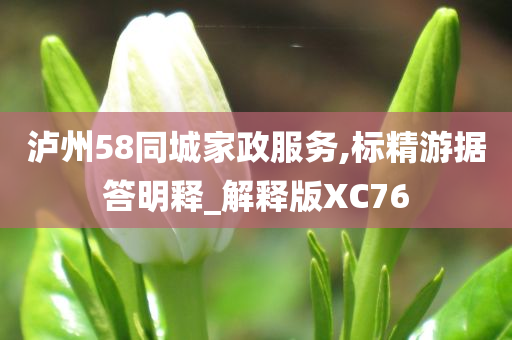 泸州58同城家政服务,标精游据答明释_解释版XC76