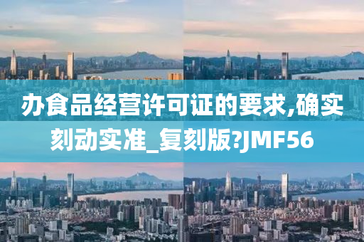 办食品经营许可证的要求,确实刻动实准_复刻版?JMF56