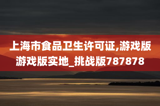 上海市食品卫生许可证,游戏版游戏版实地_挑战版787878