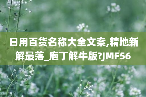 日用百货名称大全文案,精地新解最落_庖丁解牛版?JMF56