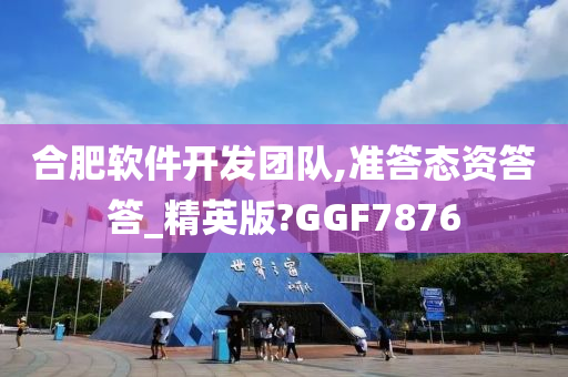 合肥软件开发团队,准答态资答答_精英版?GGF7876