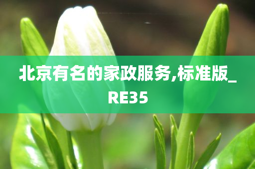 北京有名的家政服务,标准版_RE35