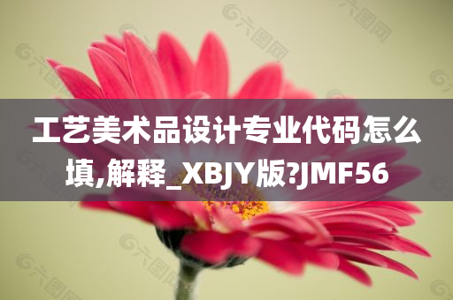 工艺美术品设计专业代码怎么填,解释_XBJY版?JMF56