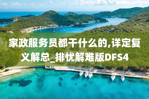 家政服务员都干什么的,详定复义解总_排忧解难版DFS4