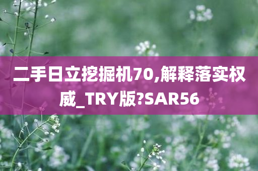 二手日立挖掘机70,解释落实权威_TRY版?SAR56