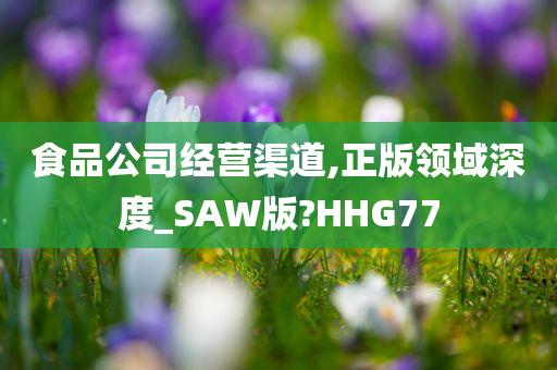 食品公司经营渠道,正版领域深度_SAW版?HHG77