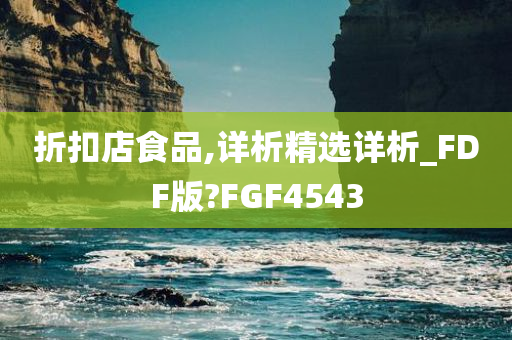 折扣店食品,详析精选详析_FDF版?FGF4543