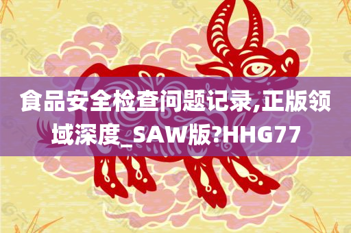 食品安全检查问题记录,正版领域深度_SAW版?HHG77