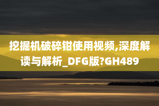 挖掘机破碎钳使用视频,深度解读与解析_DFG版?GH489