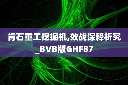 肯石重工挖掘机,效战深释析究_BVB版GHF87