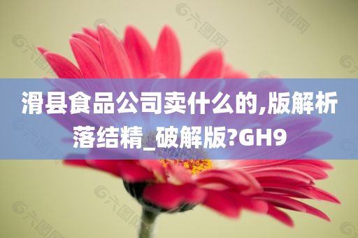 滑县食品公司卖什么的,版解析落结精_破解版?GH9