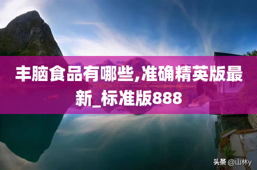 丰脑食品有哪些,准确精英版最新_标准版888