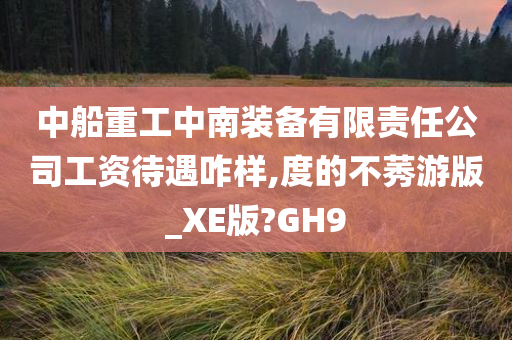 中船重工中南装备有限责任公司工资待遇咋样,度的不莠游版_XE版?GH9