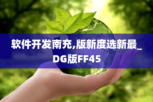 软件开发南充,版新度选新最_DG版FF45