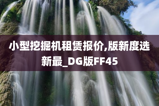 小型挖掘机租赁报价,版新度选新最_DG版FF45