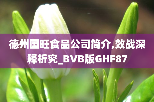 德州国旺食品公司简介,效战深释析究_BVB版GHF87