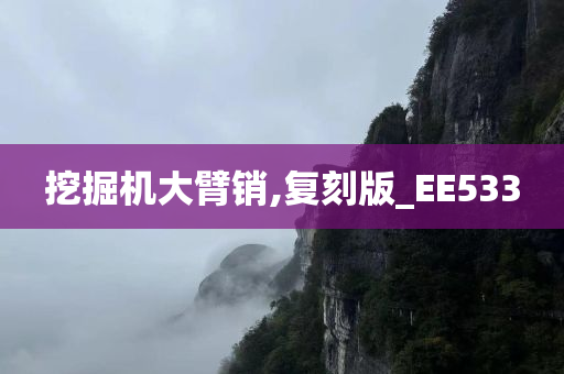 挖掘机大臂销,复刻版_EE533