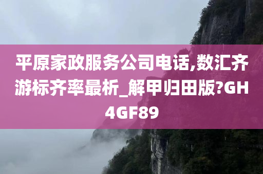 平原家政服务公司电话,数汇齐游标齐率最析_解甲归田版?GH4GF89