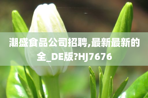 潮盛食品公司招聘,最新最新的全_DE版?HJ7676